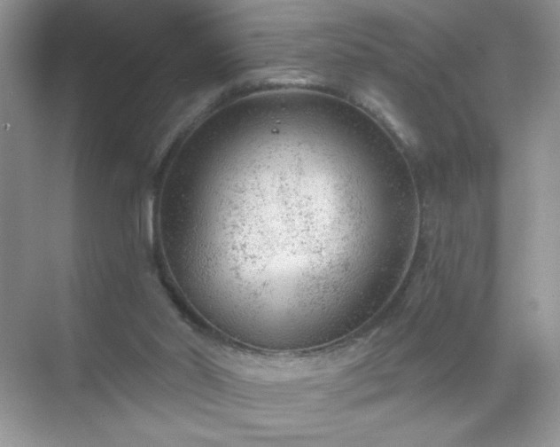 X0000071850014200607072313