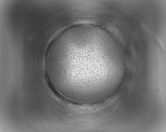 X0000071850016200607072313