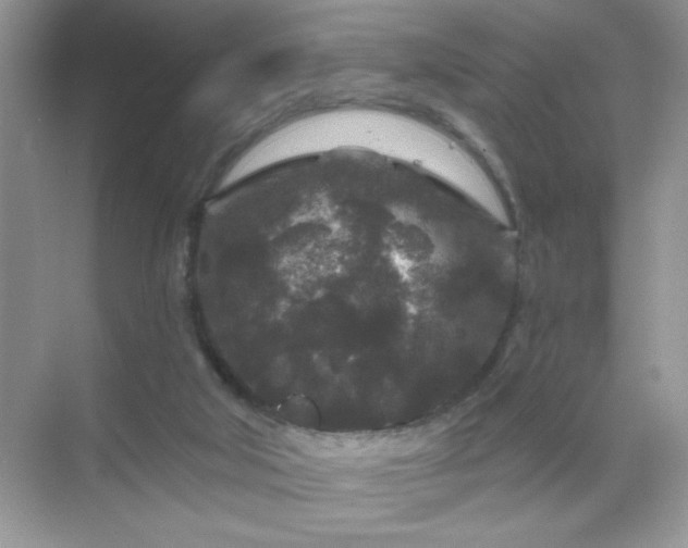 X0000071850018200607072313