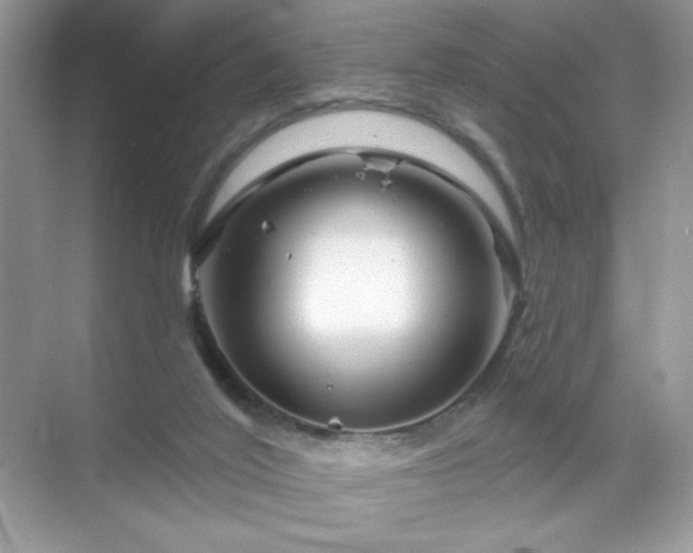 X0000071850020200607072313