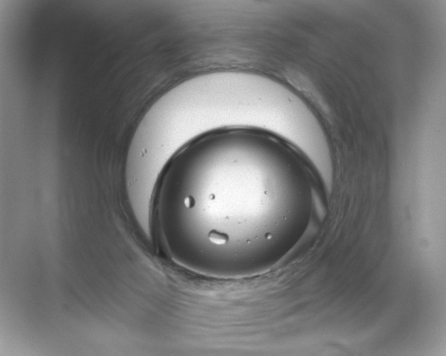 X0000071850021200607072313