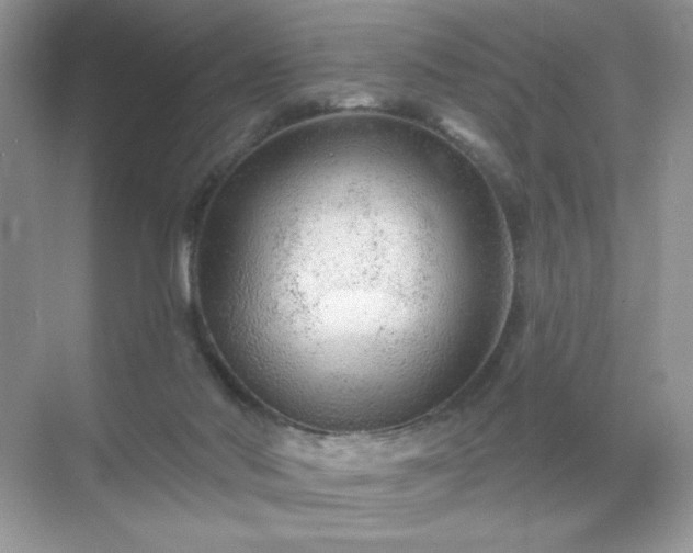 X0000071850022200607072313