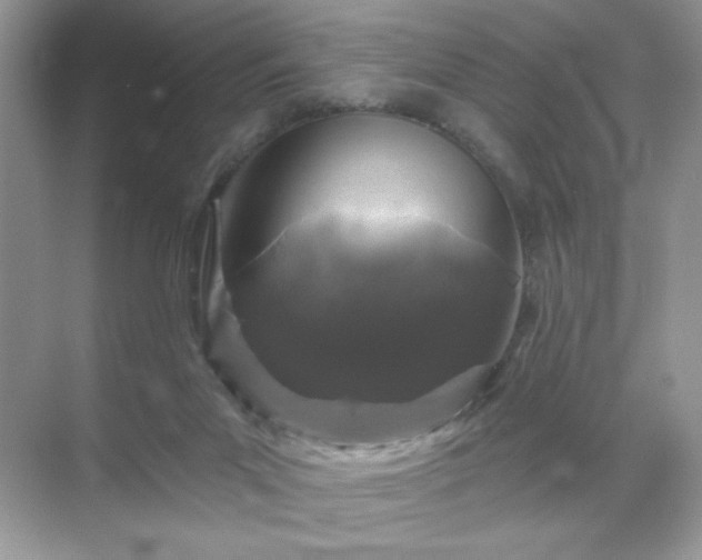 X0000071850023200607072313