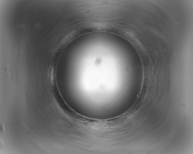 X0000071850024200607072313