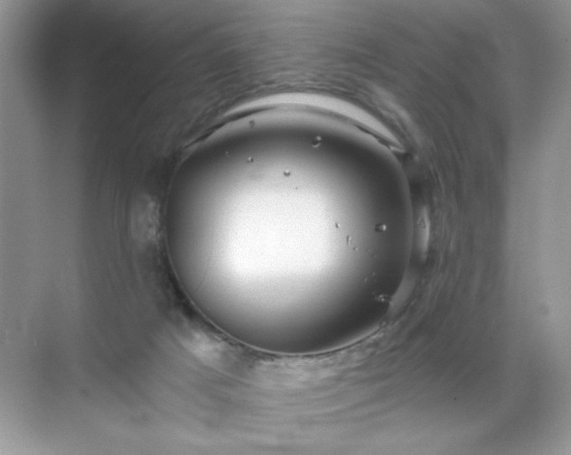 X0000071850025200607072313