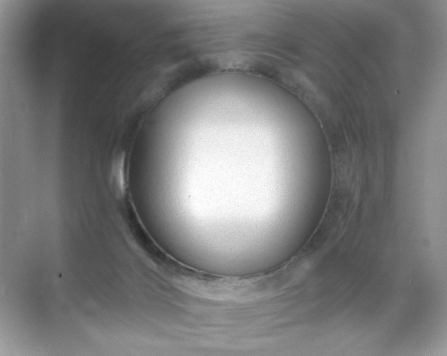 X0000071850028200607072313