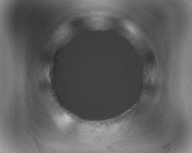 X0000071850029200607072313