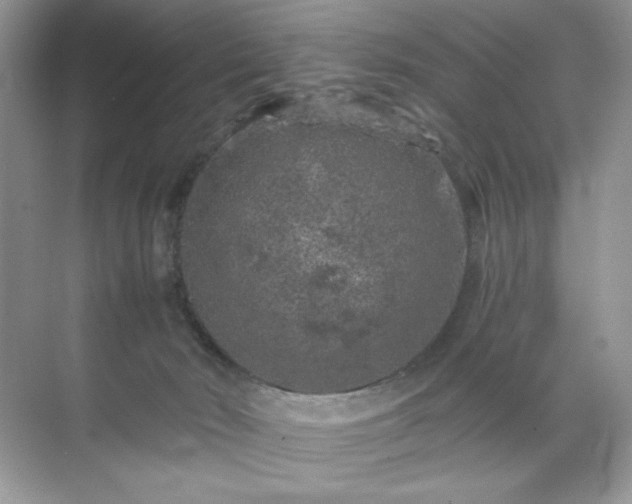 X0000071850030200607072313