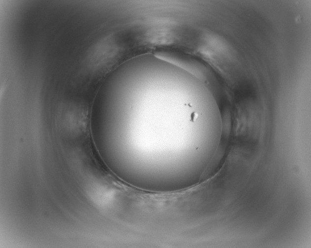 X0000071850033200607072313