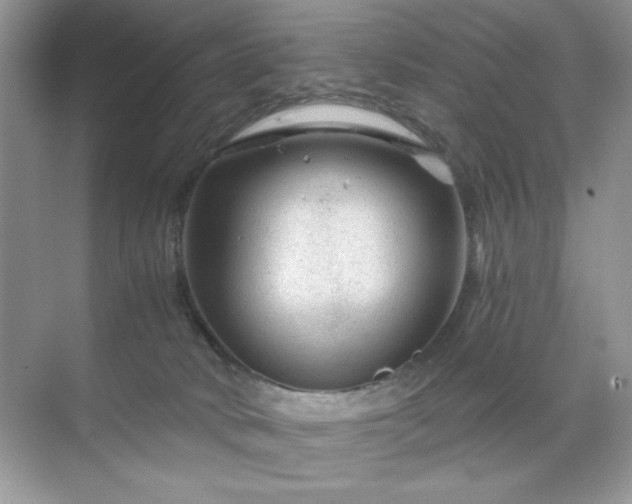 X0000071850034200607072313