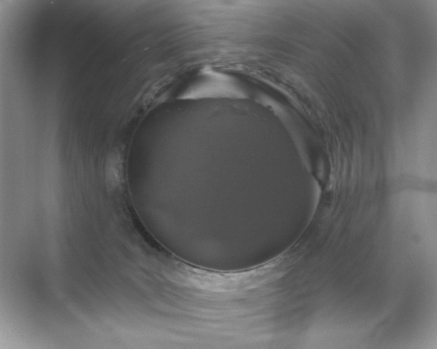 X0000071850035200607072313