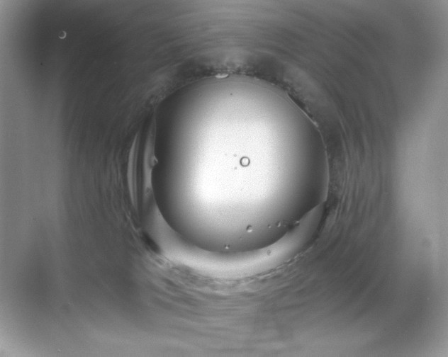 X0000071850037200607072313