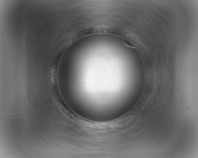 X0000071850038200607072313