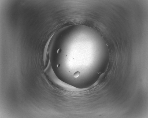 X0000071850040200607072313