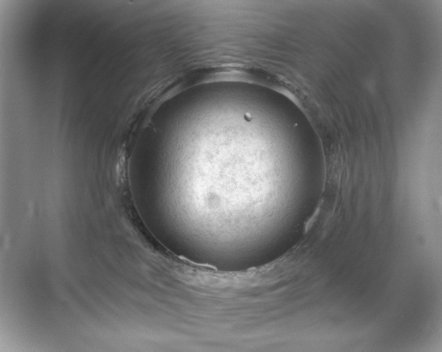 X0000071850043200607072313