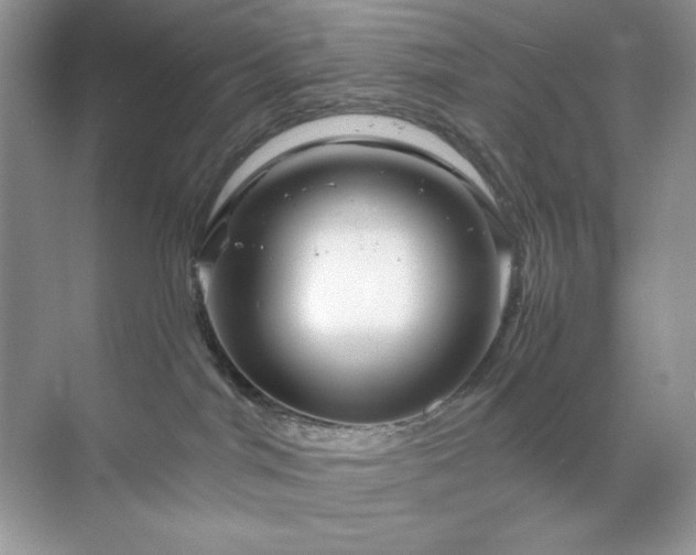 X0000071850044200607072313