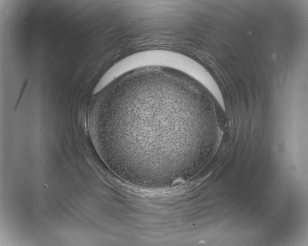 X0000071850046200607072313