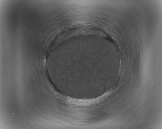 X0000071850048200607072313