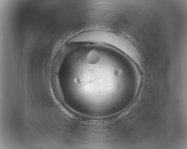 X0000071850049200607072312