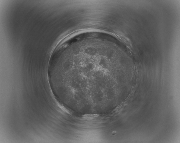 X0000071850051200607072312