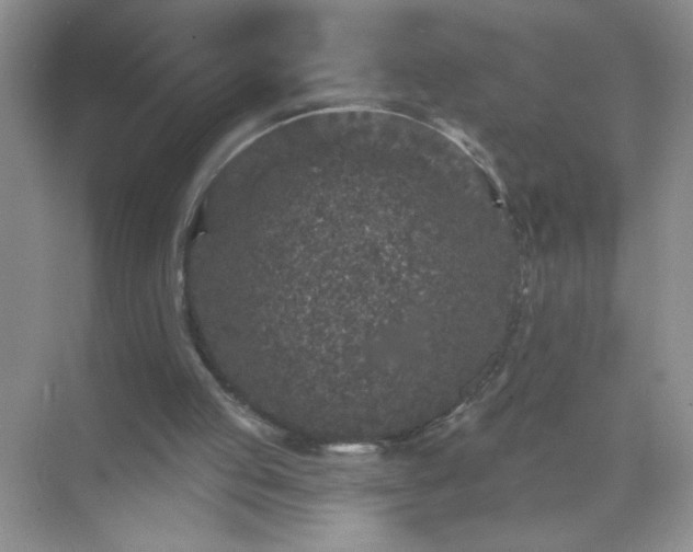 X0000071850053200607072312