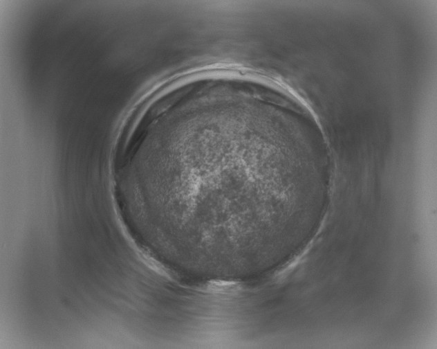 X0000071850055200607072312