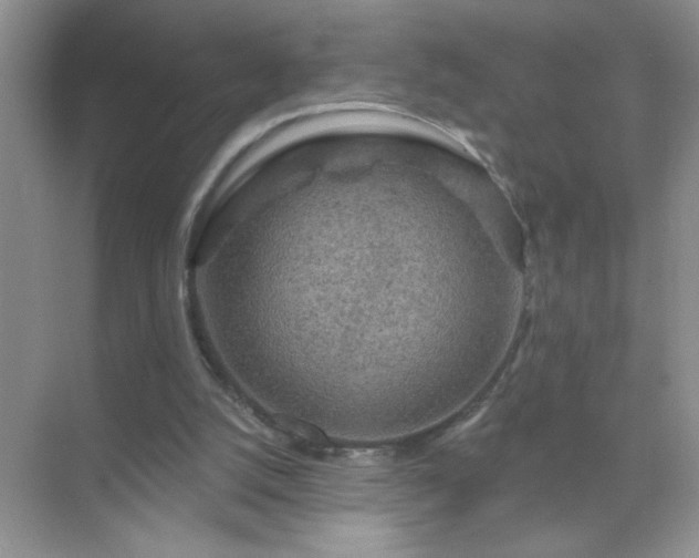 X0000071850056200607072312