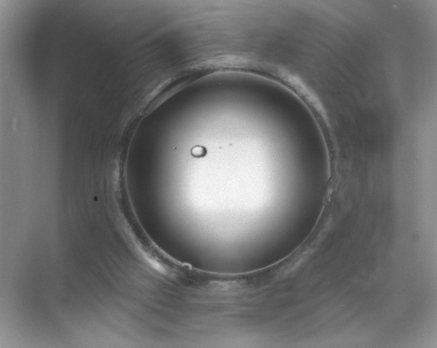 X0000071850057200607072312