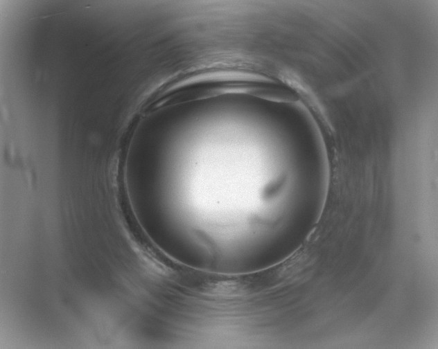 X0000071850058200607072312