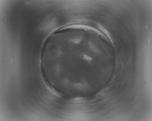 X0000071850059200607072312