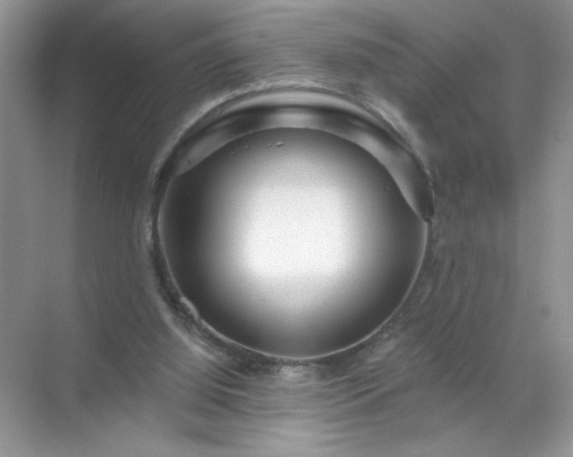 X0000071850060200607072312