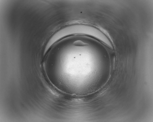 X0000071850061200607072312