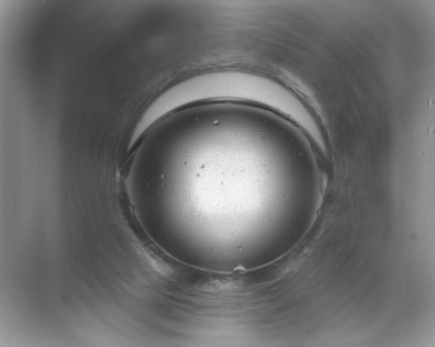 X0000071850065200607072312