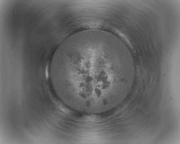 X0000071850069200607072312