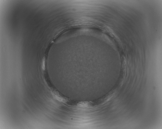 X0000071850076200607072312