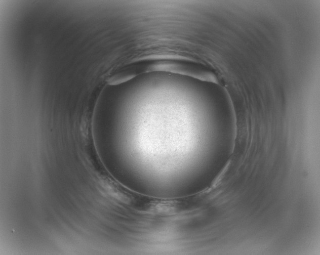 X0000071850078200607072312