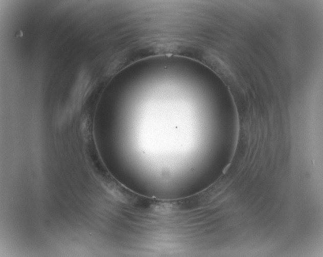 X0000071850079200607072312