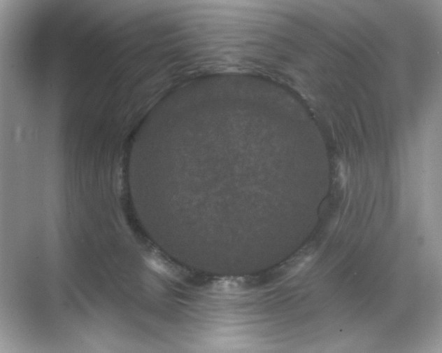 X0000071850080200607072312