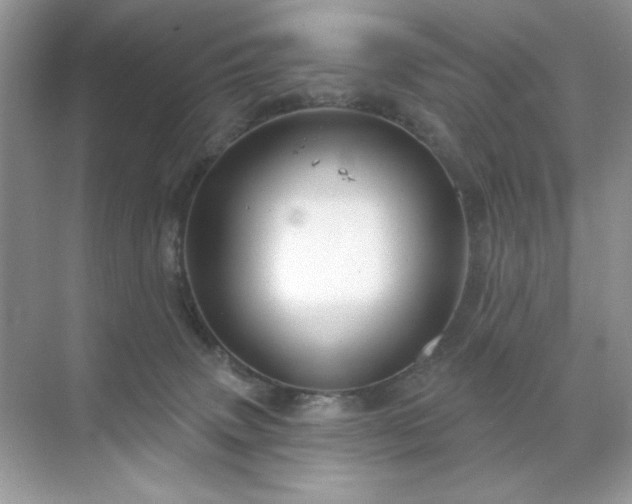 X0000071850083200607072312