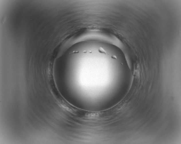 X0000071850084200607072312