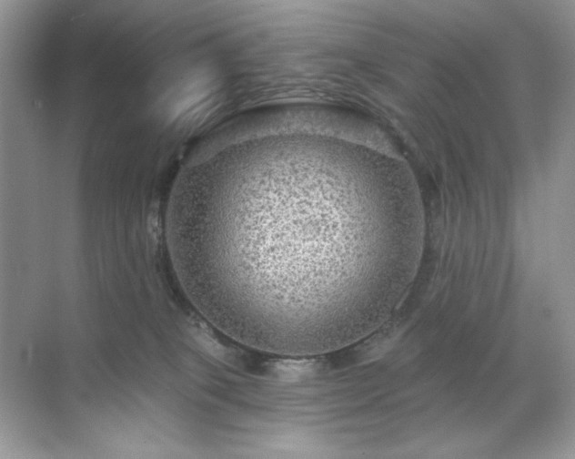 X0000071850085200607072312