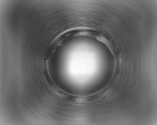 X0000071850088200607072312