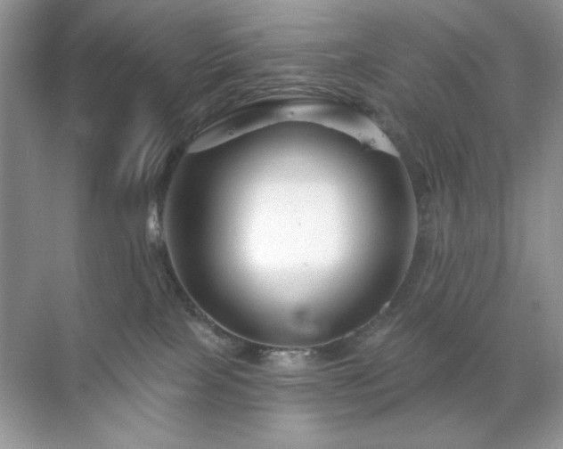 X0000071850089200607072312