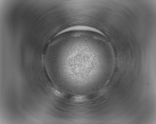 X0000071850093200607072312