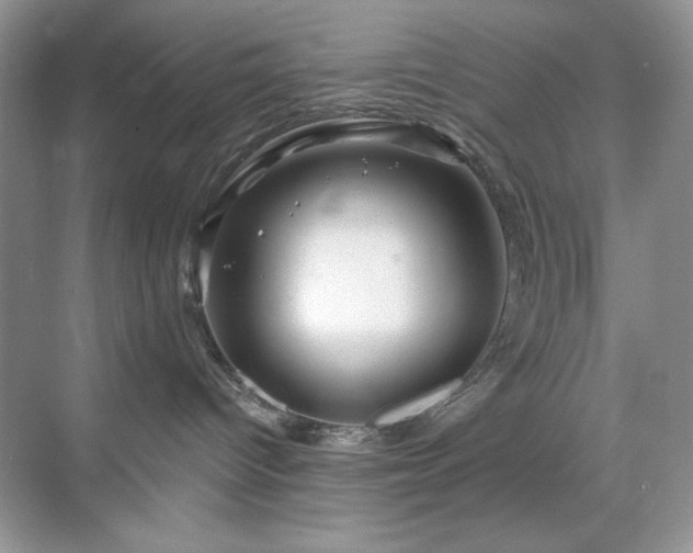 X0000071850096200607072313