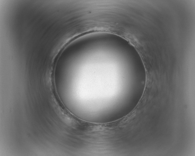 X0000071850098200607072312