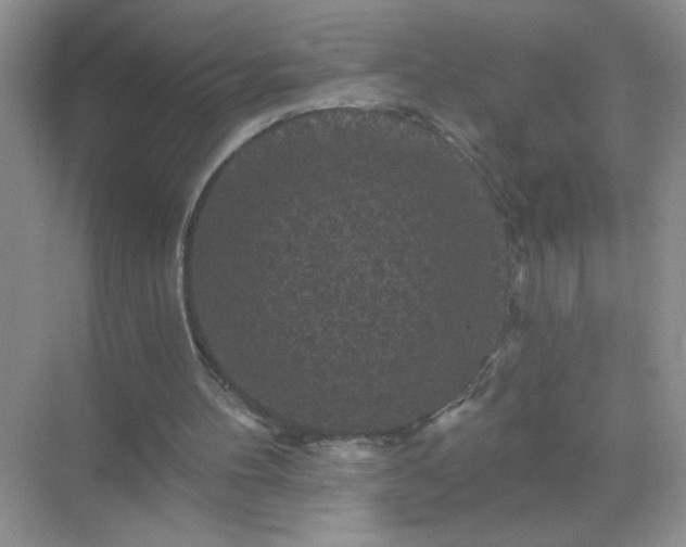 X0000071850100200607072312