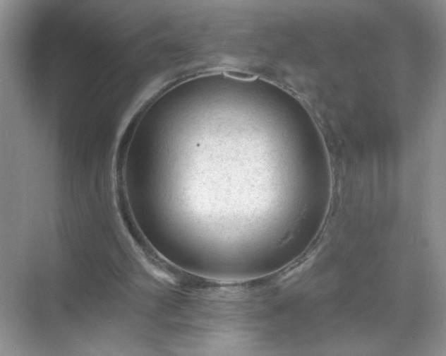 X0000071850102200607072312