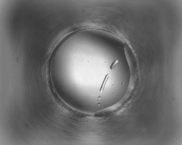 X0000071850103200607072312