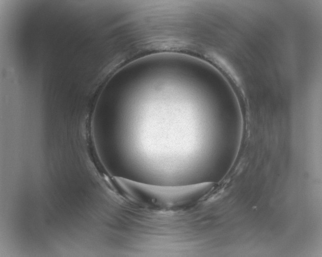 X0000071850105200607072312